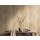 AS 300434 Tapeten A.S Creation Farbe Braun Beige   Elements II Vinyltapete