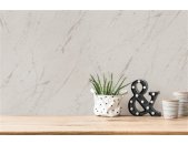AS 393361 Tapeten A.S Creation Farbe Grau Silber Metallic  Elements II Profiltapete