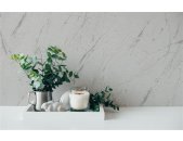 AS 393361 Tapeten A.S Creation Farbe Grau Silber Metallic  Elements II Profiltapete
