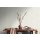 AS 388171 Tapeten A.S Creation Farbe Creme Grau   Elements II Vinyltapete