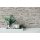 AS 388153 Tapeten A.S Creation Farbe Greige Grau Weiß  Elements II Satintapete