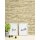 AS 707130 Tapeten A.S Creation Farbe Beige Creme   Elements II Vinyltapete