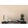 AS 211767 Tapeten A.S Creation Farbe Beige     Pure Elegance Vliestapete