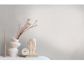 AS 298270 Tapeten A.S Creation Farbe Creme Weiß    Pure Elegance Vliestapete