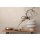 AS 397661 Tapeten A.S Creation Farbe Braun Beige Weiß   Pure Elegance Profiltapete