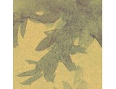 P249-VD2 Tapeten Komar Pure 2 Hernandez Farbe Beige,Gelb,Gold,Grün Vlies Fototapete