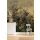 P249-VD2 Tapeten Komar Pure 2 Hernandez Farbe Beige,Gelb,Gold,Grün Vlies Fototapete