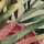 P250-VD4 Tapeten Komar Pure 2 Jungle Spot Farbe Grün Vlies Fototapete