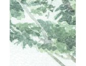 P251-VD3 Tapeten Komar Pure 2 Pride Woods Farbe Grün Vlies Fototapete