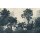 P252-VD4 Tapeten Komar Pure 2 Unfading Trees Farbe Beige,Grau Vlies Fototapete