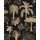 P253-VD2 Tapeten Komar Pure 2 En Detail Farbe Beige,Schwarz Vlies Fototapete