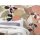 P255-VD4 Tapeten Komar Pure 2 Foggy Shrub Farbe Pastell Vlies Fototapete