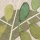 P255-VD4 Tapeten Komar Pure 2 Foggy Shrub Farbe Pastell Vlies Fototapete