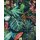 P263-VD2 Tapeten Komar Pure 2 Colourful Leaves Farbe Bunt Vlies Fototapete