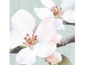 P264-VD3 Tapeten Komar Pure 2 Apple Blossom Farbe Blau Vlies Fototapete