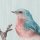 P264-VD3 Tapeten Komar Pure 2 Apple Blossom Farbe Blau Vlies Fototapete