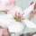 P264-VD3 Tapeten Komar Pure 2 Apple Blossom Farbe Blau Vlies Fototapete