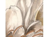 P267-VD2 Tapeten Komar Pure 2 Vintage Chrysanthemum Farbe Beige,Gold Vlies Fototapete