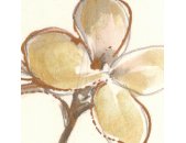P267-VD2 Tapeten Komar Pure 2 Vintage Chrysanthemum Farbe Beige,Gold Vlies Fototapete