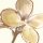 P267-VD2 Tapeten Komar Pure 2 Vintage Chrysanthemum Farbe Beige,Gold Vlies Fototapete