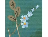 P272-VD4 Tapeten Komar Pure 2 Birdsong Breeze Farbe Blau,Grün Vlies Fototapete