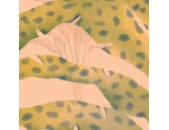 P274-VD3 Tapeten Komar Pure 2 Safari Pattern Farbe Bunt Vlies Fototapete