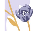 P276-VD4 Tapeten Komar Pure 2 Bloomique Farbe Lila Vlies Fototapete
