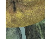 P277-VD3 Tapeten Komar Pure 2 Bellezza Farbe Blau,Grün,Gelb Vlies Fototapete
