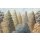 P278-VD4 Tapeten Komar Pure 2 Painted Woods Farbe Grün Vlies Fototapete