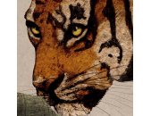 P279-VD4 Tapeten Komar Pure 2 Tiger Jungle Farbe Grün Vlies Fototapete