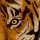 P279-VD4 Tapeten Komar Pure 2 Tiger Jungle Farbe Grün Vlies Fototapete