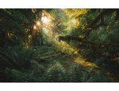 PSH103-VD4 Tapeten Komar Pure 2 Hall of Mosses Farbe...