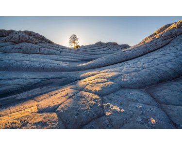 PSH104-VD4 Tapeten Komar Pure 2 Elephant Skin Farbe Grau Vlies Fototapete