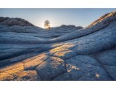 PSH104-VD4 Tapeten Komar Pure 2 Elephant Skin Farbe Grau...