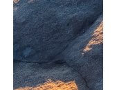 PSH104-VD4 Tapeten Komar Pure 2 Elephant Skin Farbe Grau Vlies Fototapete