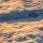 PSH104-VD4 Tapeten Komar Pure 2 Elephant Skin Farbe Grau Vlies Fototapete