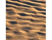 PSH105-VD5 Tapeten Komar Pure 2 Body Lines Farbe Beige,Grau Vlies Fototapete