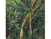 PSH106-VD4 Tapeten Komar Pure 2 Jungle Lands Farbe Grün Vlies Fototapete