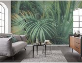 PSH107-VD4 Tapeten Komar Pure 2 Foggy Fern Farbe Grün Vlies Fototapete