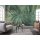 PSH107-VD4 Tapeten Komar Pure 2 Foggy Fern Farbe Grün Vlies Fototapete