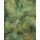 PSH110-VD2 Tapeten Komar Pure 2 Neon Fern Farbe Grün Vlies Fototapete