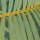 PSH110-VD2 Tapeten Komar Pure 2 Neon Fern Farbe Grün Vlies Fototapete