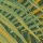 PSH110-VD2 Tapeten Komar Pure 2 Neon Fern Farbe Grün Vlies Fototapete
