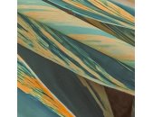 PSH111-VD4 Tapeten Komar Pure 2 Amazonia Vibes Farbe Grün Vlies Fototapete