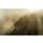 PSH113-VD4 Tapeten Komar Pure 2 Foggy Sunshine Farbe Grün Vlies Fototapete
