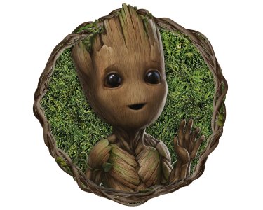 DD1-081 Tapeten Komar Into Wonderland Groot Little Twig  Farbe bunt Vlies Fototapete