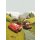 IADX4-034 Tapeten Komar Into Wonderland Cars Camping Farbe bunt Vlies Fototapete