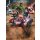 IADX4-079 Tapeten Komar Into Wonderland Avengers Superpower Farbe bunt Vlies Fototapete