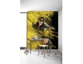 IADX4-100 Tapeten Komar Into Wonderland Loki Yellow Dust   Farbe bunt Vlies Fototapete