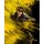 IADX4-100 Tapeten Komar Into Wonderland Loki Yellow Dust   Farbe bunt Vlies Fototapete